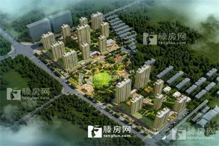 龙都现代城2室2厅2卫正房148㎡车库24